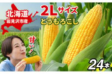 【令和7年度出荷先行予約！】北海道岩見沢市産とうもろこし2Lサイズ24本【11112】