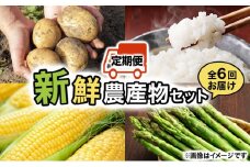 ＜先行予約＞いわみざわの新鮮農産物セット(5or6月～11月 全6回)※定期便【11106】