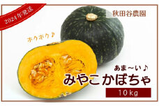 秋の味覚☆あま～い かぼちゃ みやこ 10kg【秋田谷農園】【a014-016】