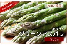 朝採り新鮮！グリーンアスパラ 900g【秋田谷農園】【a014-018】
