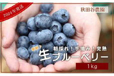 大粒で甘い♪完熟＜生＞ブルーベリー 1kg【秋田谷農園】【a014-024】