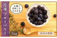 大粒で甘い♪ ＜冷凍＞ブルーベリー1Kg【秋田谷農園】【a014-019】