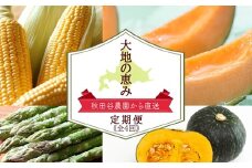 秋田谷農園から直送！☆大地の恵み☆ 定期便《全4回》【20113】