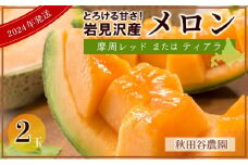 なめらかな甘さ♪岩見沢市産メロン（ティアラ）【秋田谷農園】【a014-020】