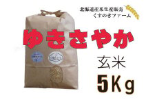 【令和5年産】北海道岩見沢産くすのきファームのゆきさやか玄米（5Kg）【34106】