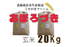 【令和5年産】北海道岩見沢産くすのきファームのおぼろづき玄米（20Kg）【34128】