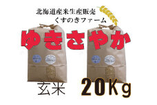 【令和5年産】北海道岩見沢産くすのきファームのゆきさやか玄米（20Kg）【34130】