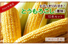 ★7月発送★とびっきりの甘さ！とうもろこし（恵味）10本セット【秋田谷農園】【a014-021】
