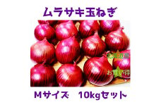 北海道岩見沢市産 紫玉ねぎMサイズ10kg【09116】