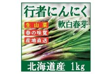 ≪先行予約≫ 令和7年産 行者にんにく芽 (生) 1kg ≪数量限定・3/31締め切り≫ 【09121】