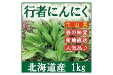 ≪先行予約≫ 令和7年産 行者にんにく葉(生) 1kg≪数量限定・4/20締め切り≫ 【09122】