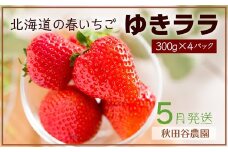 2023年5月発送！北海道の春いちご☆ゆきララ 300g×4パック【秋田谷農園】【20110】