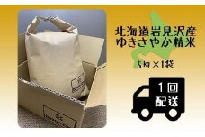 令和5年産北海道岩見沢市産 ゆきさやか5kg≪沖縄・離島配送不可≫【35025】