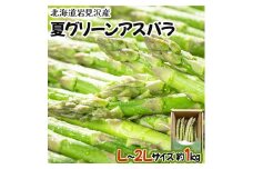 【先行予約/令和7年産】北海道岩見沢産　夏グリーンアスパラ　L～2Lサイズ 1kg【41104】