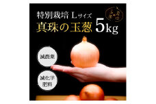 真珠の玉葱 特別栽培Lサイズ5kg≪海のミネラルで育てた特別栽培玉葱≫【50101】
