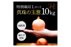 真珠の玉葱 特別栽培Lサイズ10kg≪海のミネラルで育てた特別栽培玉葱≫【50102】