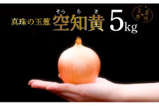 真珠の玉葱　空知黄　５kg≪海のミネラルで育てた幻の玉葱空知黄≫【50105】