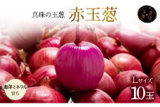 真珠の玉葱 赤玉葱Lサイズ10玉≪海のミネラルで育てた特別栽培玉葱≫【50107】
