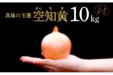 真珠の玉葱 空知黄10kg≪海のミネラルで育てた幻の玉葱空知黄≫【50106】