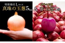 真珠の玉葱 特別栽培 Lサイズ 5kg (赤玉葱5個入り) ≪海のミネラルで育てた特別栽培玉葱≫【50108】