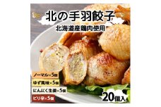 北海道産鶏肉を使った手羽先餃子【北の手羽ぎょうざ】20個セット(5個×4袋)≪配送地域限定≫【53102】