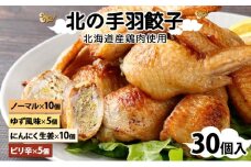 寄附額改定↓ 北海道産鶏肉を使った手羽先餃子【北の手羽ぎょうざ】30個セット(5個×6袋)≪配送地域限定≫【53103】