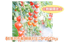 ≪先行予約／数量限定！≫岩見沢市産朝採れミニトマト3kg【54101】