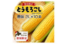 市場の目利き　北海道岩見沢産とうもろこし「恵味 2L 10本」