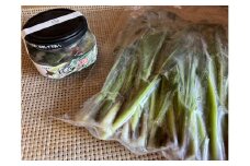 行者にんにくセット（生の行者にんにく葉・行者にんにくぴりから醤油漬けのセット）