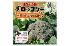 【通常配送】市場の目利き 北海道岩見沢産ブロッコリー 大玉4玉