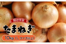 【引換券（現地受取）】市場の目利き 北海道岩見沢産たまねぎ 10kg