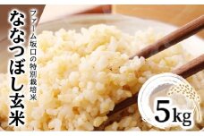 令和6年産！ファーム坂口の特別栽培米 ななつぼし玄米 5kg
