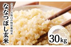 令和6年産！ファーム坂口の特別栽培米 ななつぼし玄米 30kg (30kg×1袋)
