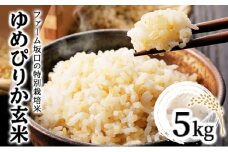 令和6年産！ファーム坂口の特別栽培米 ゆめぴりか玄米 5kg