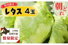 ≪先行予約≫市場の目利き　北海道岩見沢産　レタス4玉