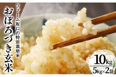令和7年産!ファーム坂口の特別栽培米 おぼろづき玄米 10kg(5kg×2) | 北海道岩見沢産 おぼろづき 玄米 5kg 10kg 15kg 30kg 北海道 岩見沢市