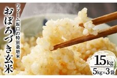 令和7年産!ファーム坂口の特別栽培米 おぼろづき玄米 15kg(5kg×3) | 北海道岩見沢産 おぼろづき 玄米 5kg 10kg 15kg 30kg 北海道 岩見沢市