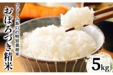 令和7年産!ファーム坂口の特別栽培米 おぼろづき精米 5kg | 北海道岩見沢産 おぼろづき 玄米 5kg 10kg 15kg 北海道 岩見沢市