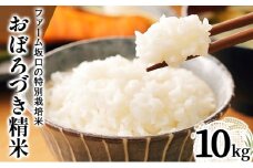 令和7年産!ファーム坂口の特別栽培米 おぼろづき精米 10kg(10kg×1) | 北海道岩見沢産 おぼろづき 玄米 5kg 10kg 15kg 北海道 岩見沢市