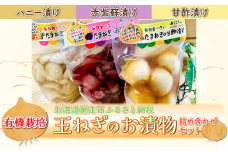 有機栽培玉ねぎのお漬物詰め合わせセット（網走加工）【 ふるさと納税 人気 おすすめ ランキング たまねぎ タマネギ 玉ねぎ 玉葱 漬物 無添加 甘酢 ハニー 赤紫蘇 詰め合わせ 北海道 網走市 送料無料 】 ABAA001