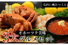 オホーツク美味3大グルメセット［毛がに・帆立・いくら］【 ふるさと納税 人気 おすすめ ランキング 毛がに 毛ガニ 毛蟹 カニ ガニ 蟹 帆立 ほたて ホタテ 帆立貝柱 貝柱 帆立刺身 ほたて刺身 ホタテ刺身 刺身帆立 いくら いくら醤油漬 イクラ醤油漬け いくら醤油 醤油漬け 醤油漬 イクラ醤油 サケ 鮭 魚卵 海鮮 魚介 新鮮 セット 冷凍 北海道 網走市 送料無料 】 ABAO002
