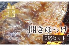 開きほっけ5尾セット（網走加工）【 ふるさと納税 人気 おすすめ ランキング ほっけ ホッケ 干物 一夜干し 開き 開きほっけ 開きホッケ 魚 5尾 お手軽 簡単 冷凍 絶品 オホーツク 北海道 網走市 送料無料 】 ABAO1001