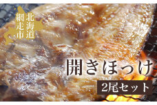 開きホッケ2尾セット【 ふるさと納税 人気 おすすめ ランキング ほっけ ホッケ 干物 ホッケ一夜干し 一夜干し 2尾 開き 網走 魚 お手軽 簡単 冷凍 絶品 北海道 網走市 送料無料 】 ABAO012