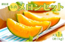 【期間・数量限定】甘くて美味しい 網走産朱肉メロン1玉＜早期予約＞＜網走産＞（2025年6月15日以降発送） 【 ふるさと納税 人気 おすすめ ランキング メロン めろん 朱肉 朱肉メロン 果物 フルーツ 甘い 糖度 ギフト 贈答 贈り物 プレゼント 網走産 オホーツク 北海道 網走市 送料無料 】 ABAO2028