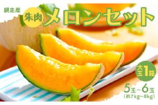 【期間・数量限定】甘くて美味しい 網走産朱肉メロンセット早期予約＜網走産＞（2025年6月15日以降発送）【 ふるさと納税 人気 おすすめ ランキング メロン 朱肉メロン 網走産 大玉 5～6玉 ギフト 誕生日 お祝い お歳暮 プレゼント オホーツク 北海道 網走市 送料無料 】 ABAO2027