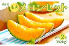 【期間・数量限定】甘くて美味しい 網走産朱肉メロン2玉＜早期予約＞＜網走産＞（2025年6月15日以降発送）【 ふるさと納税 人気 おすすめ ランキング メロン めろん 朱肉 朱肉メロン 果物 フルーツ 甘い 糖度 ギフト 贈答 贈り物 プレゼント 網走産 オホーツク 北海道 網走市 送料無料 】 ABAO2029