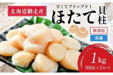 【新物先行予約】＜網走前浜産＞無添加ホタテ貝柱【1kg (500gパック×2) 】（2025年10月より順次発送） 【 ホタテ ほたて 帆立 貝柱 ホタテ貝柱 ほたて貝柱 帆立貝柱 玉冷 ホタテ玉冷 ほたて玉冷 帆立玉冷 刺身 ホタテ刺身 刺身ホタテ 刺身ほたて ほたて刺身 北海道 国産 北海道産 魚介 魚介類 海鮮 小分け 天然 送料無料 人気 ランキング おすすめ 】 ABAI011
