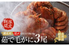 【先行予約 期間限定】＜網走産＞流氷海明け活〆茹で毛がに 3尾セット【2026年4月上旬発送開始予定】【 ふるさと納税 人気 おすすめ ランキング 毛がに 毛ガニ 毛蟹 カニ ガニ 蟹 海鮮 新鮮 かに味噌 カニ味噌 浜茹で 冷蔵 オホーツク 北海道 網走市 送料無料 】 ABAO1058