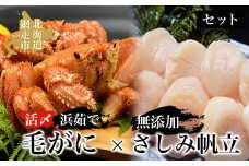 活〆浜茹で毛がにと無添加さしみ帆立セット【 ふるさと納税 人気 おすすめ ランキング 毛がに 毛ガニ 毛蟹 カニ ガニ 蟹 浜茹で 帆立 ほたて ホタテ 帆立貝柱 貝柱 帆立刺身 ほたて刺身 ホタテ刺身 刺身帆立 さしみ帆立 刺身ホタテ セット 冷凍 新鮮 北海道 網走市 送料無料 】 ABAO001