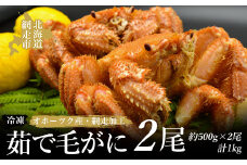 ＜オホーツク産＞茹で毛がに（冷凍）2尾（網走加工）【 ふるさと納税 人気 おすすめ ランキング 毛がに 毛ガニ 毛蟹 カニ ガニ 蟹 海鮮 新鮮 かに味噌 カニ味噌 浜茹で 冷凍 2尾 海鮮丼 オホーツク 北海道 網走市 送料無料 】 ABAO2101